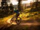 Les activités d'été dans le massif des Vosges: VTT, canoë-kayak, parapente