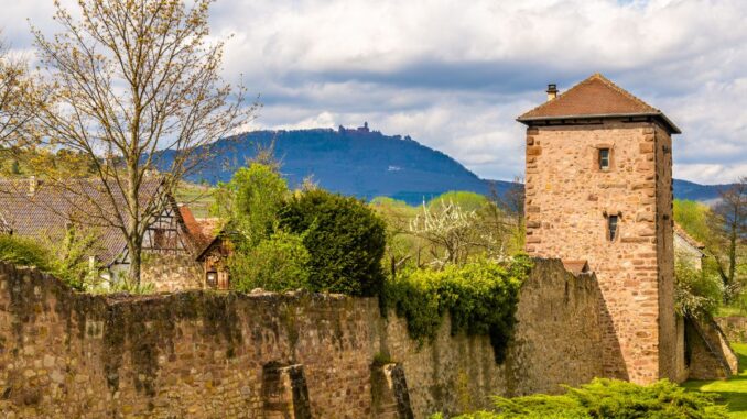 L'histoire des fortifications du massif des Vosges : de la première guerre mondiale à aujourd'hui