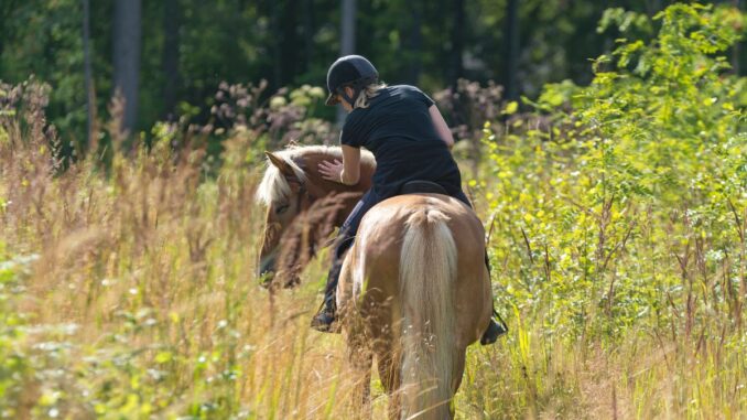 itineraire randonnee cheval Les meilleurs itinéraires de randonnées à cheval
