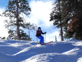 skieur dans des bosses