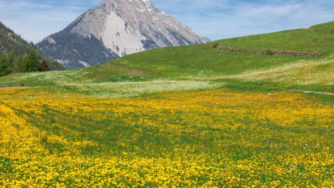 Le Granier en été que faire dans cette station de montagne le granier en été que faire dans cette station de montagne