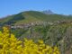 villard reculas en été que faire dans cette station de montagne